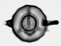 Teapot_Pos.jpg