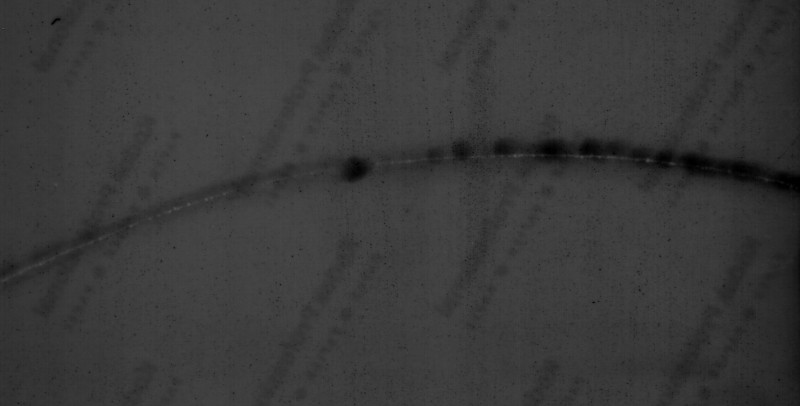 Click for original image