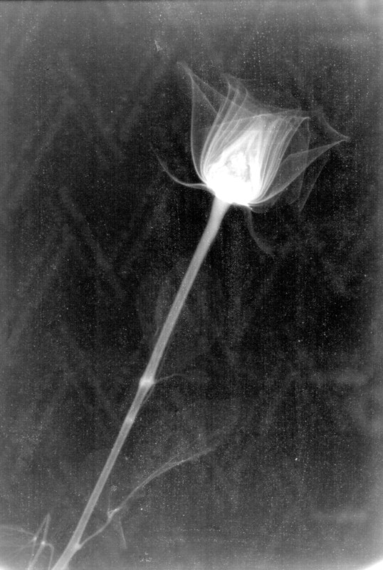 Click for original image