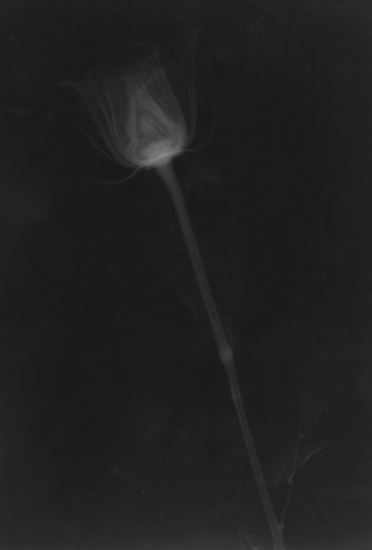 Click for original image