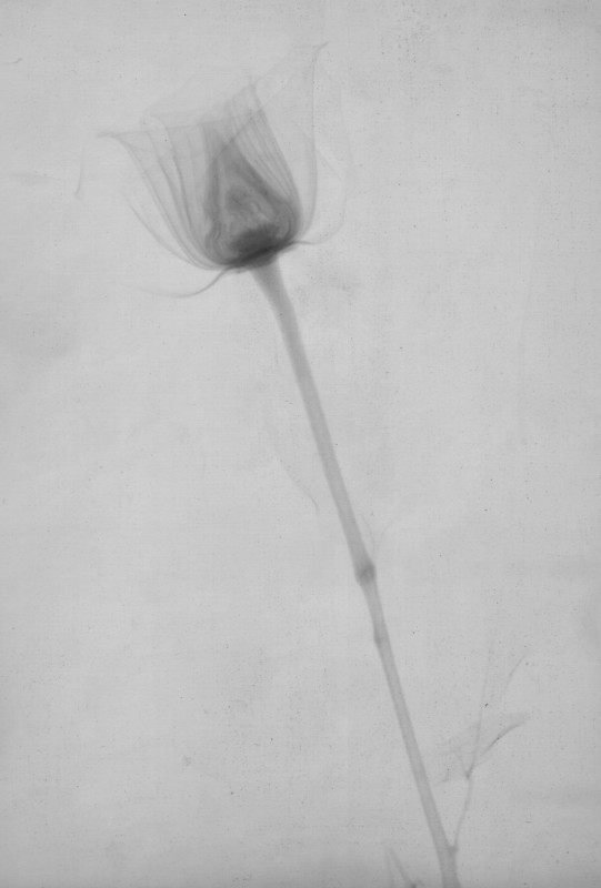 Click for original image