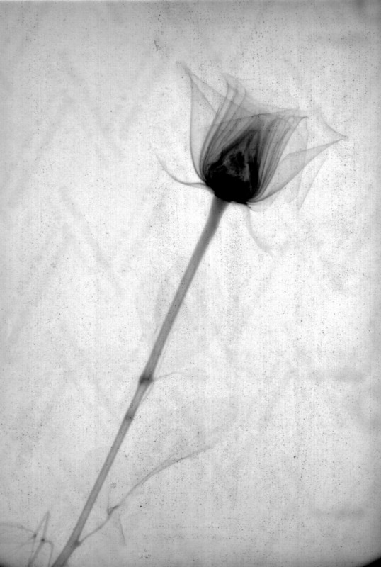 Click for original image